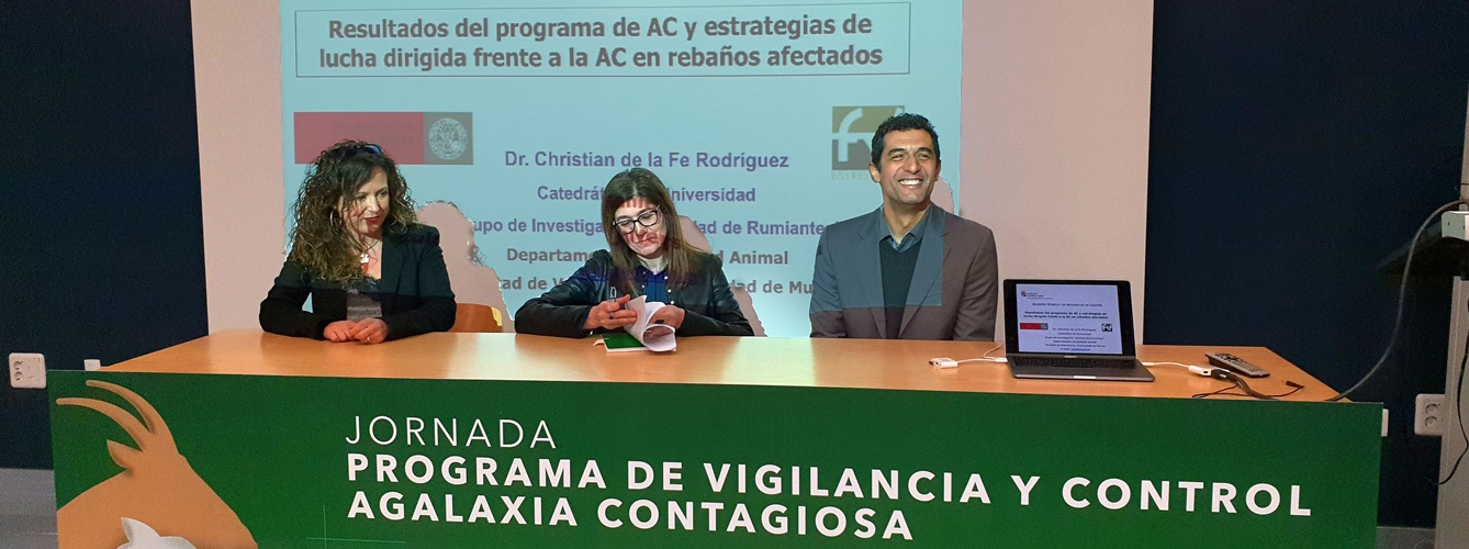 Presentación de los resultados de la incidencia de agalaxia contagiosa en Castilla y León. 