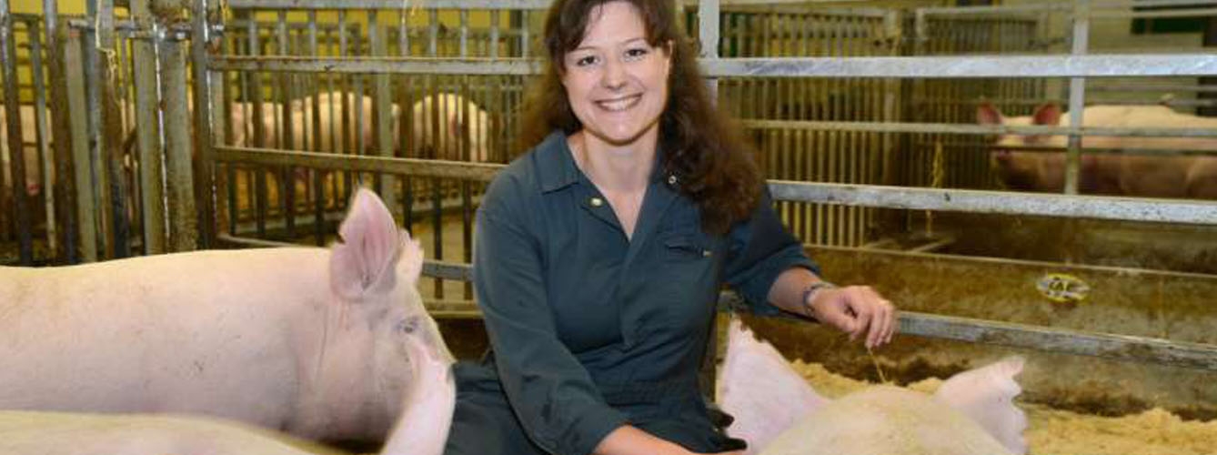 Christine Tait-Burkard, científica del Instituto Roslin, con los cerdos modificados genéticamente
