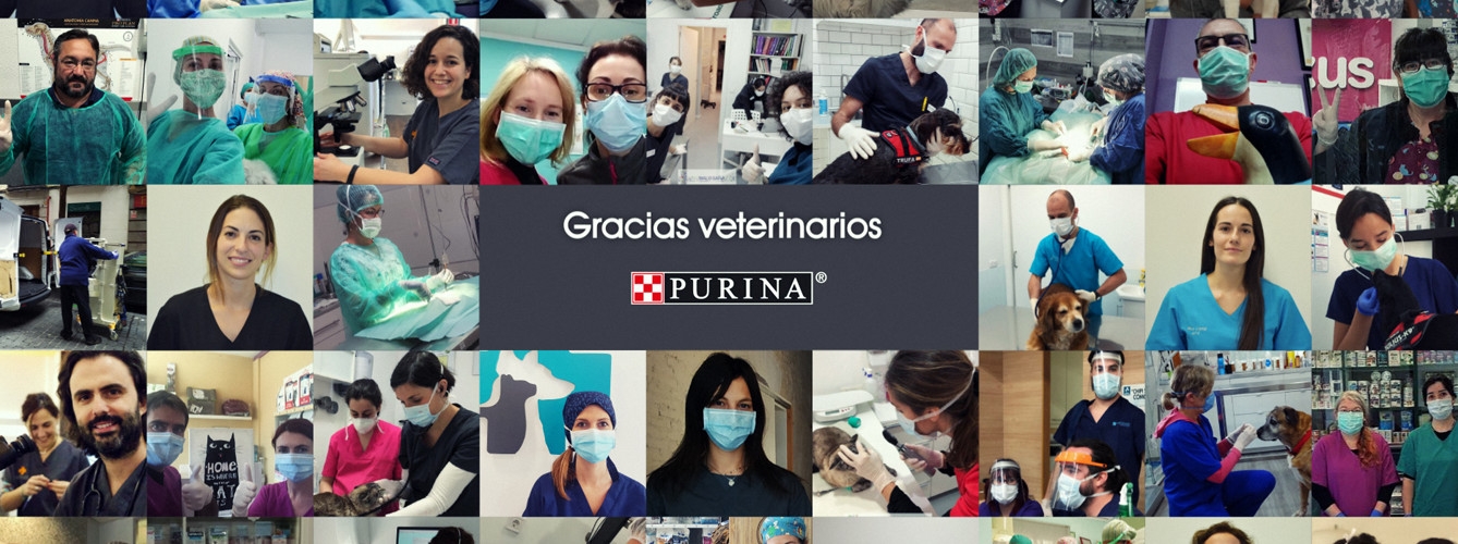 Purina ha editado un vídeo para agradecer a los veterinarios su aportación durante la crisis del coronavirus.
