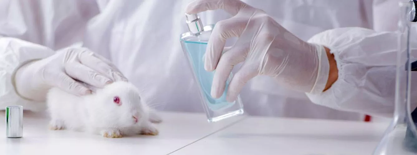 Europa pide erradicar las pruebas de cosméticos en animales 