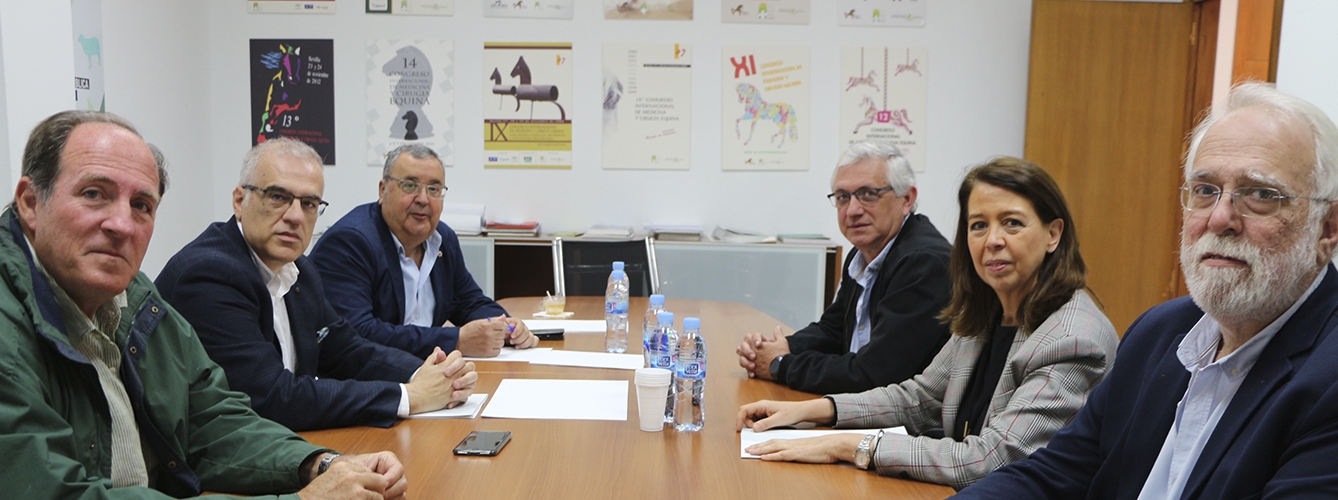 Imagen de la reunión celebrada en la sede del Consejo de Veterinarios de Andalucía