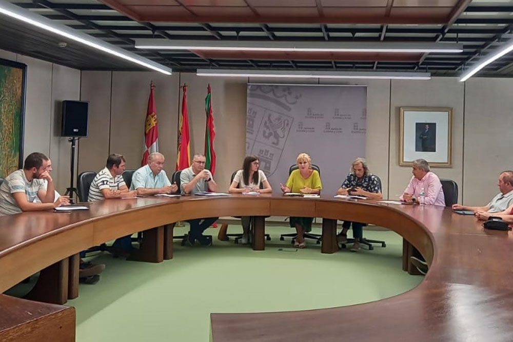 Imagen de la reunión de la Junta de Castilla y León con los ganaderos, OPAS y el Colegio de Veterinarios.