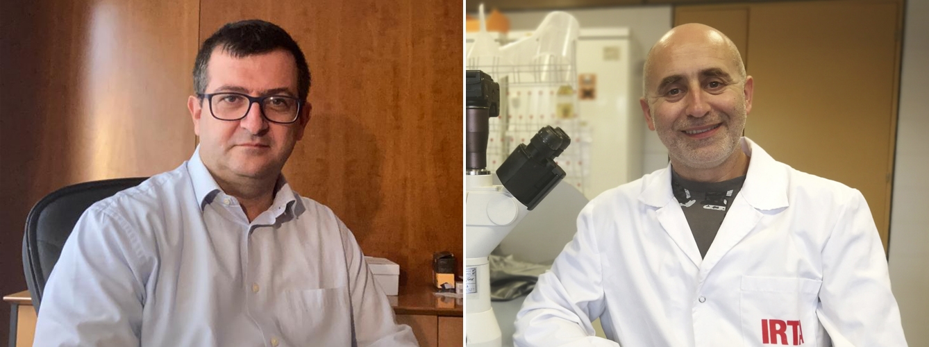 Ricard Parés, vicepresidente del Colegio de Veterinarios de Barcelona, y Joaquim Segalés, veterinario experto en coronavirus e investigador del Centro de Investigación en Sanidad Animal (CReSA) del Instituto de Investigación y Tecnología Agroalimentarias (IRTA).