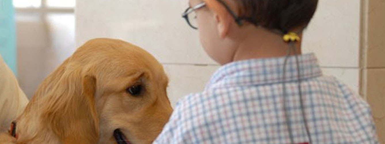 Lanzan un proyecto educativo orientado a la empatía hacia los animales