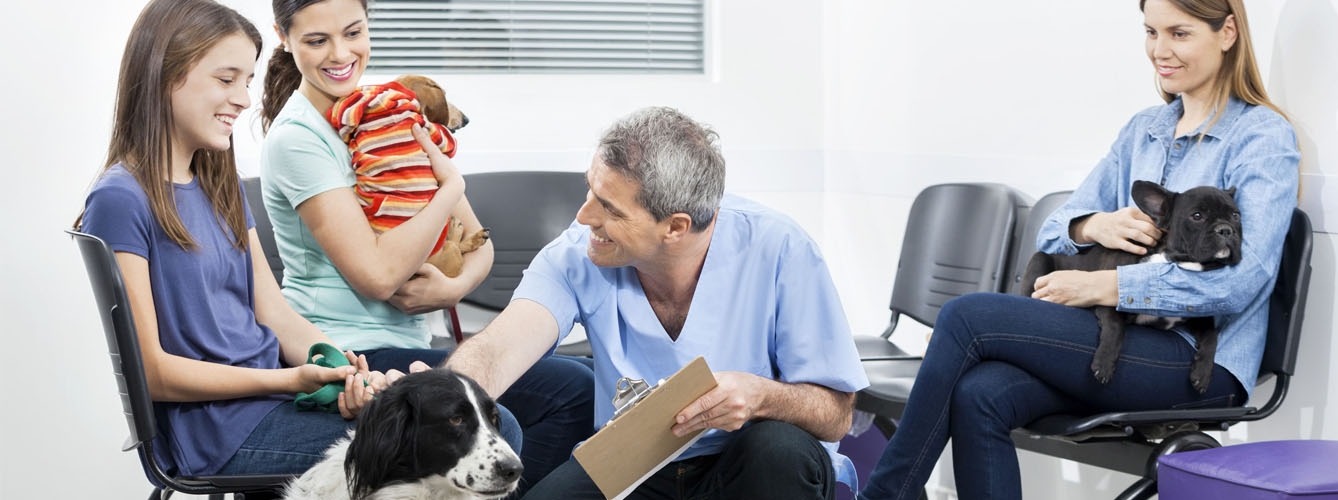 Los propietarios de mascotas suelen ser fieles a su centro veterinario