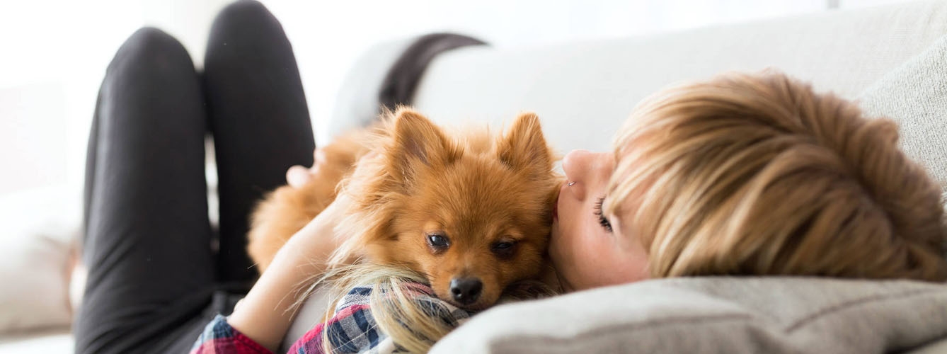 El 71% de los dueños prefiere dormir con sus mascotas en San Valentín