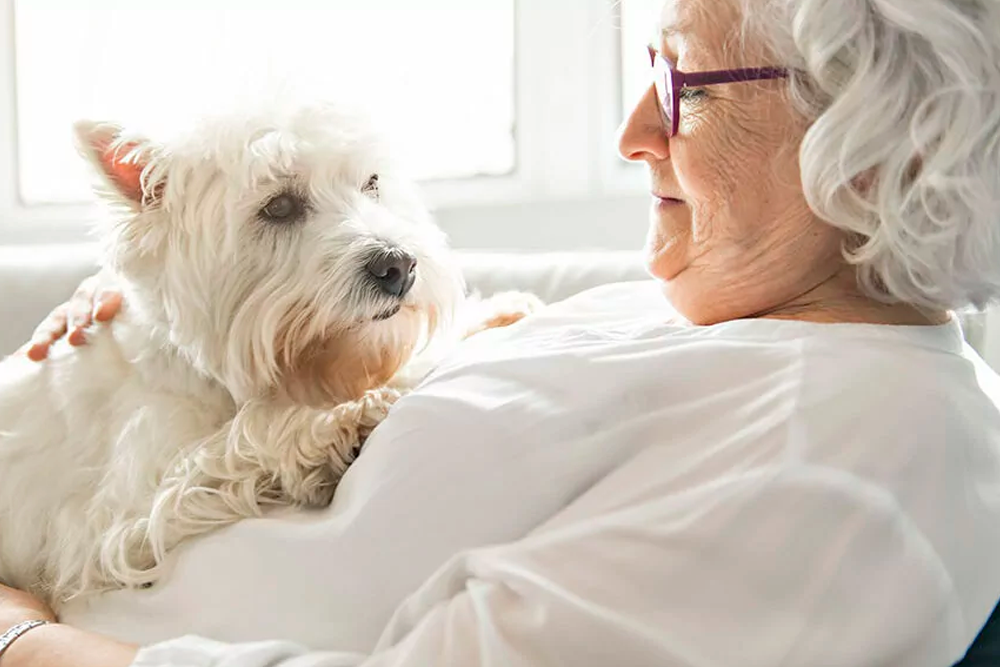 Tener una mascota se relaciona con una menor soledad, un factor de riesgo importante para la demencia y el deterioro cognitivo.
