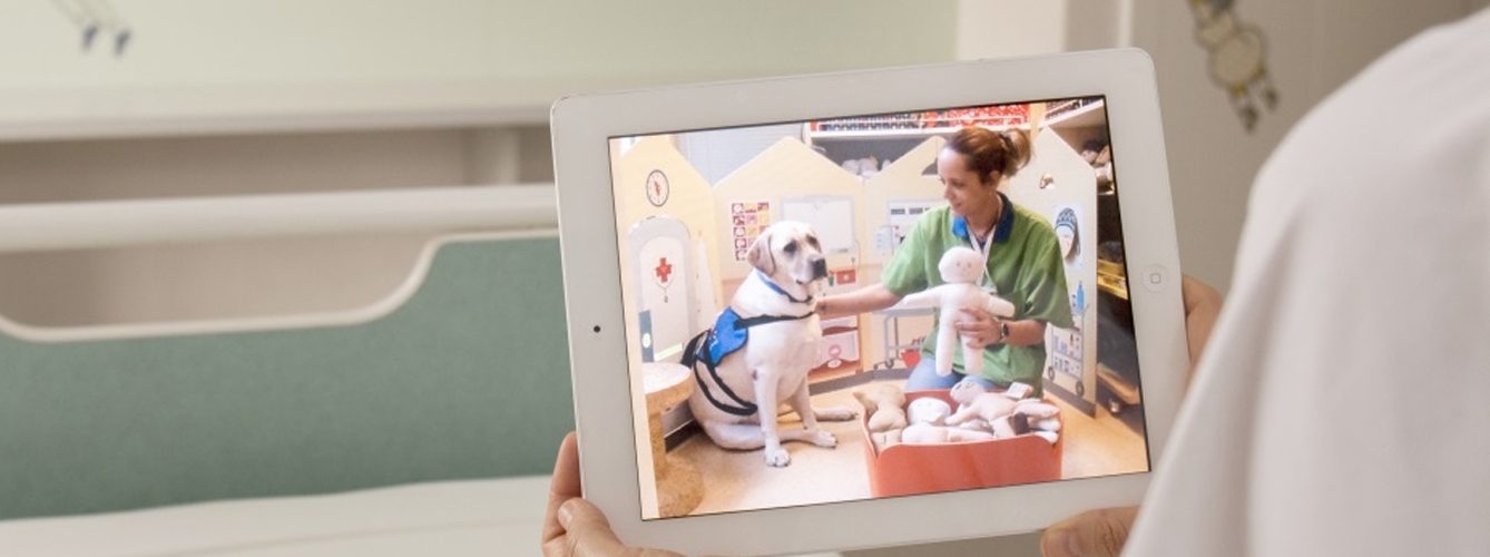 Terapias con perros por “streaming” para ayudar a niños hospitalizados