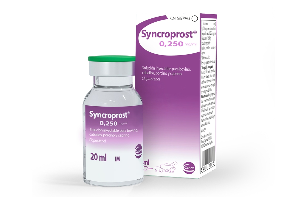 Syncroprost es la nueva solución inyectable de Ceva Salud Animal para bovino, caballos, porcino y caprino.
