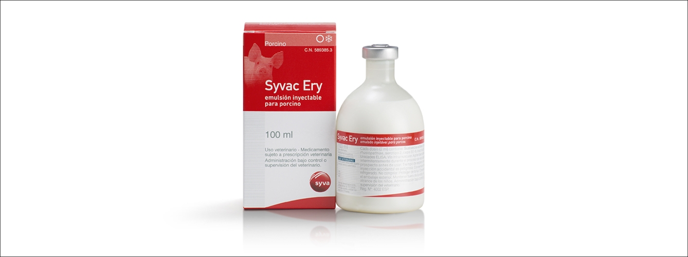 Syvac Ery es la nueva vacuna de Syva contra el Mal Rojo de los cerdos.
