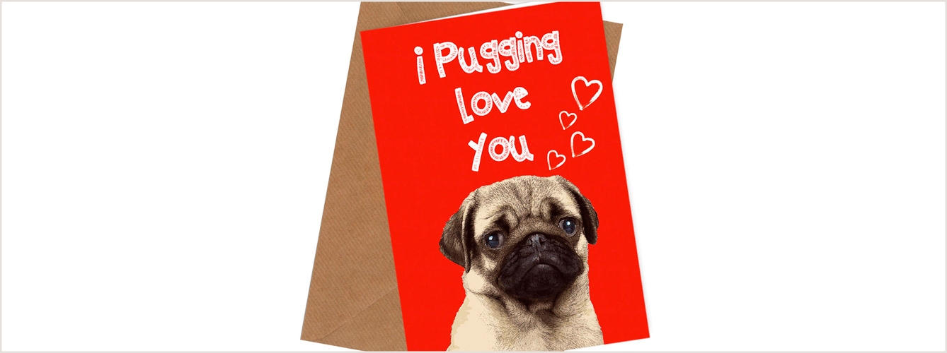 La campaña de los veterinarios busca que no se utilicen imágenes de razas de perros y gatos con problemas de salud, como el pug, en los regalos y tarjetas de San Valentín.