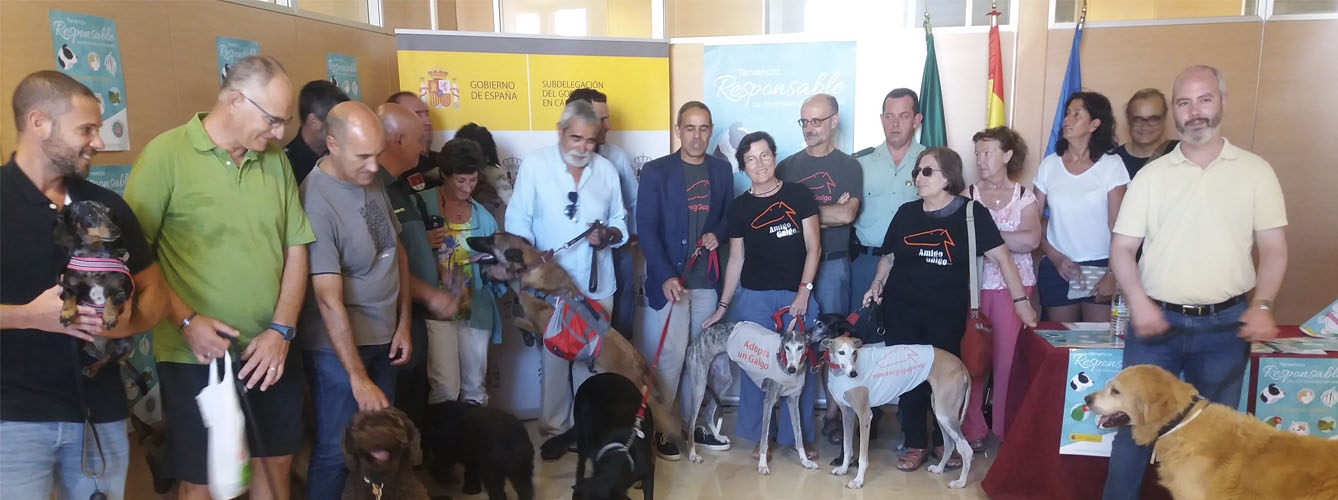 Presentación de la campaña para la tenencia responsable de animales de compañía en Cádiz.
