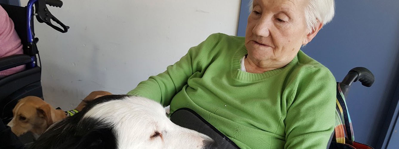 Castilla-La Mancha apuesta por la terapia con perros en mayores