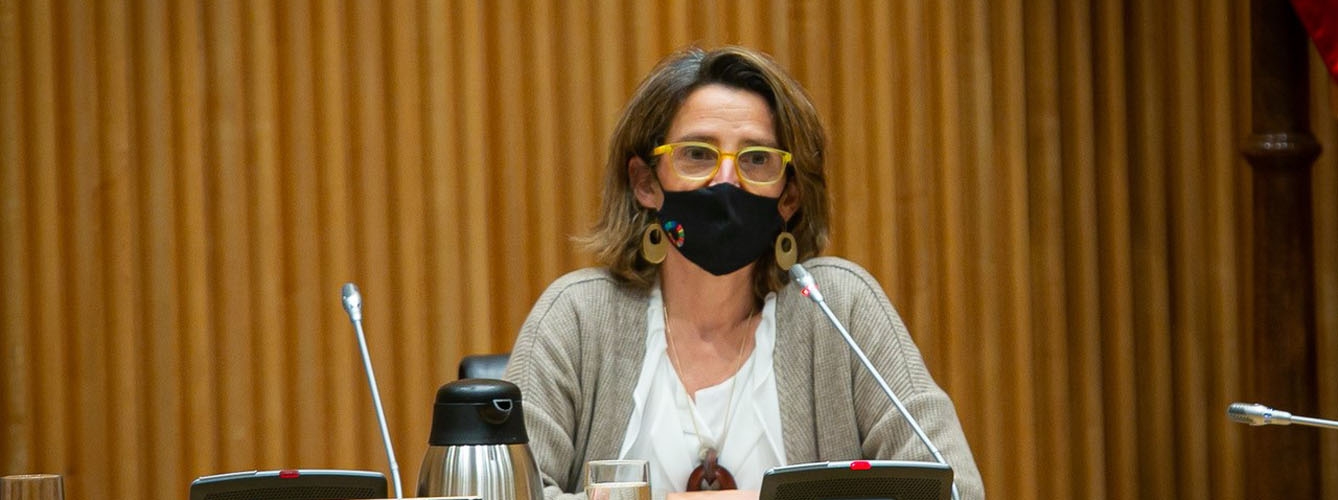 Teresa Ribera, ministra para la Transición Ecológica y el Reto Demográfico.