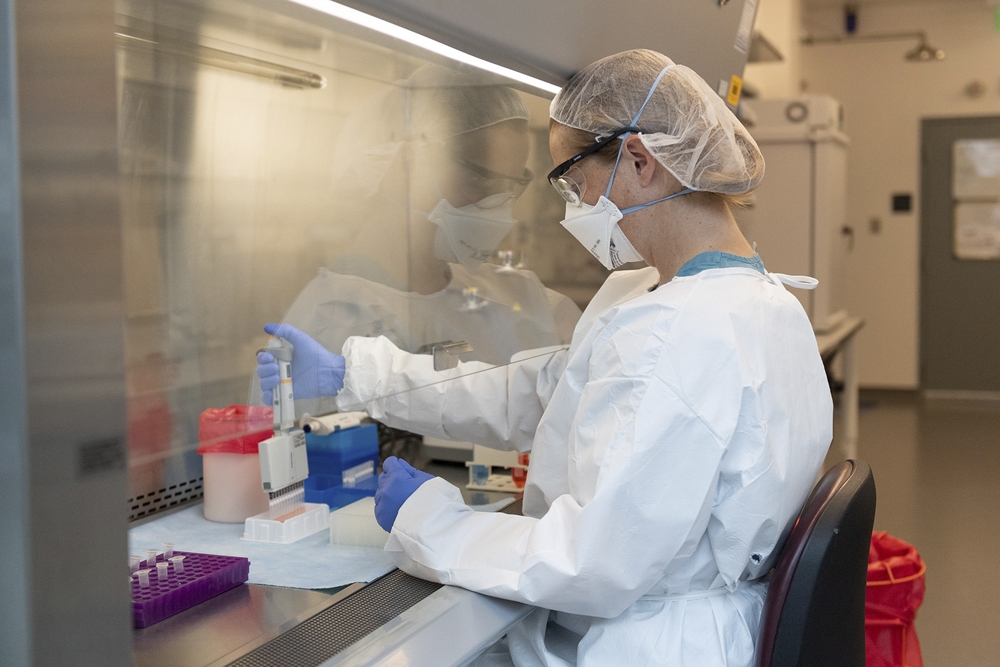 El Servicio Territorial de Sanidad de León ha habilitado una serie de laboratorios para el análisis de las muestras.