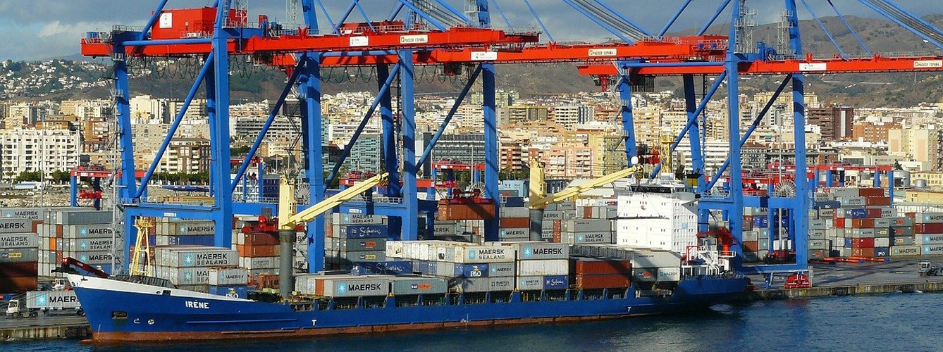 Libia y Turquía rechazan el desembarco de terneros procedentes de España.