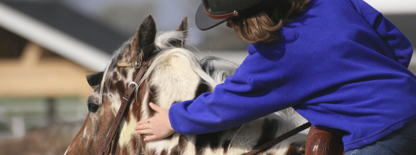 Las familias de los participantes en el estudio han podido observar beneficios de la terapia con caballos.