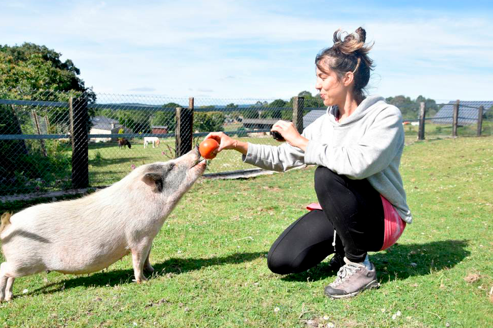 La veterinaria etóloga española Paula Pérez con un cerdo mascota.