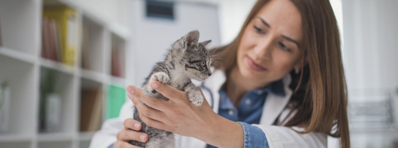 ¿Ganan las mujeres veterinarias menos que los hombres?