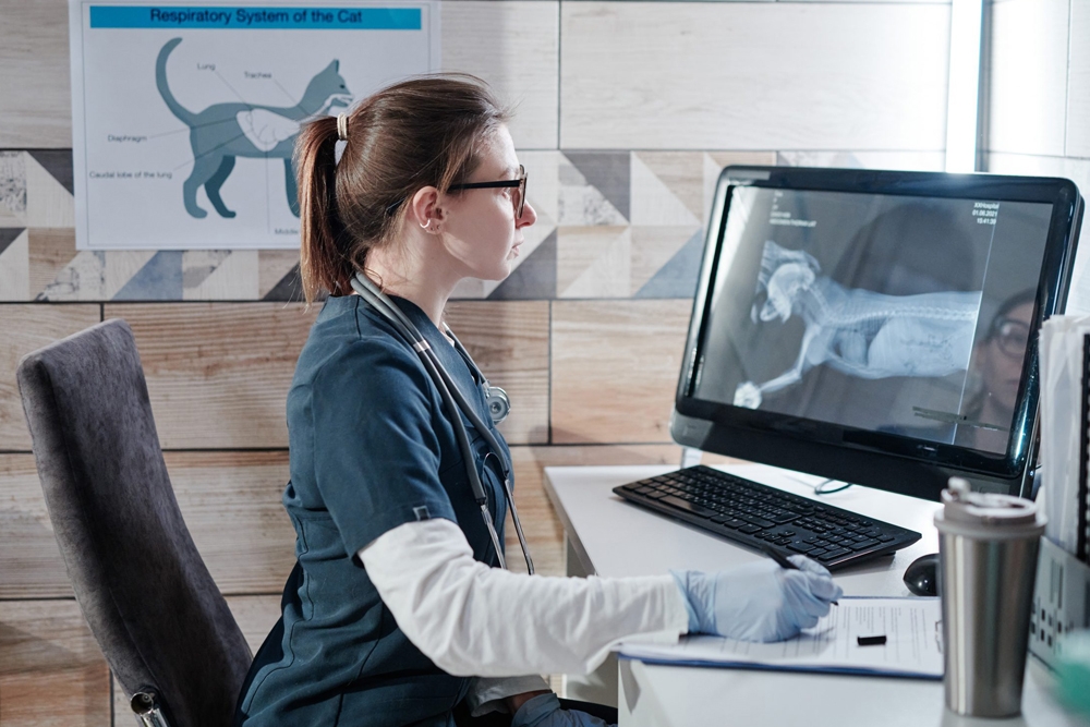 Los veterinarios jóvenes esperan un mínimo de tecnología en las clínicas veterinarias generalistas, como la radiografía digital.