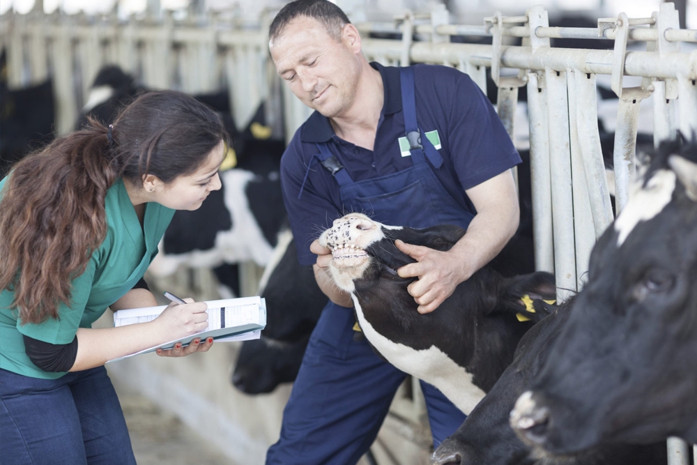 Elanco apoya y agradece la labor diaria de ganaderos y veterinarios para que los lácteos lleguen al consumidor manteniendo la seguridad alimentaria.