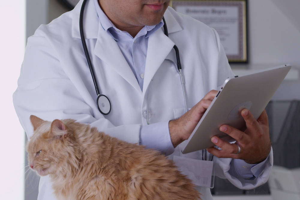 Entre las novedades que incluirá Provet Cloud este 2023 están poder hacer un seguimiento de los tratamientos y exámenes dentro del software veterinario.