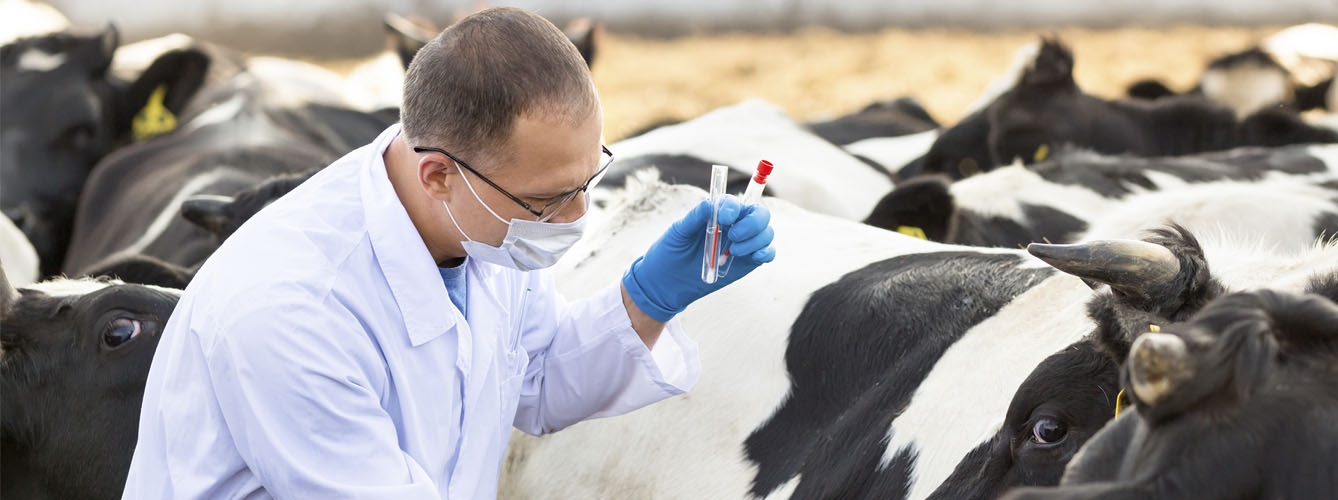Las visitas regulares de los veterinarios para supervisar el uso de antibióticos en granjas son imprescindibles.