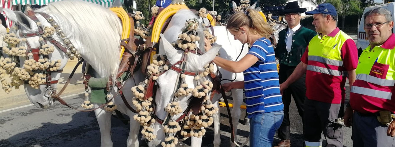 Una de las veterinarias del dispositivo especial de la Feria de abril atiende a los caballos de un carruaje.