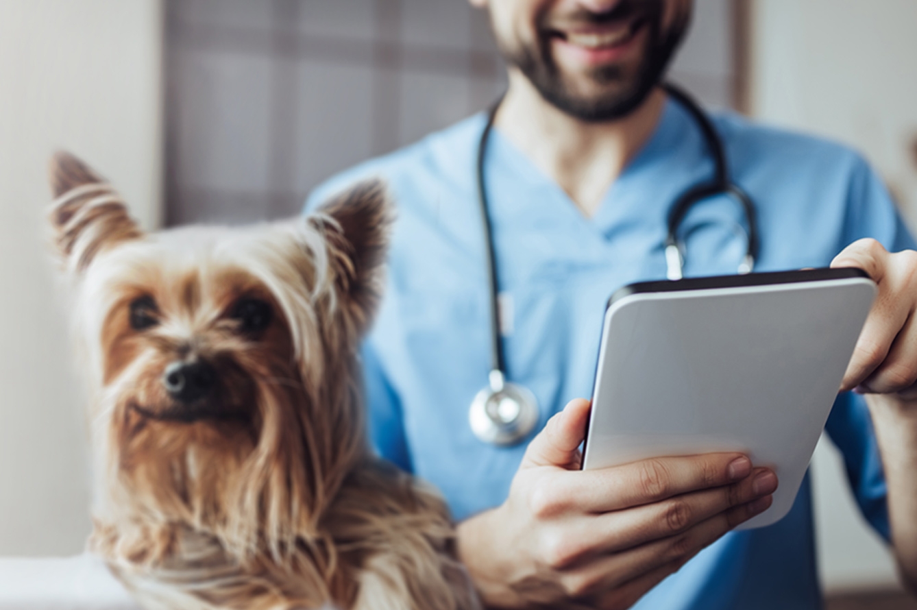 Vetoquinol Conecta ayuda a los veterinarios a mejorar el cumplimiento de tratamientos como las desparasitaciones y programar próximas visitas.