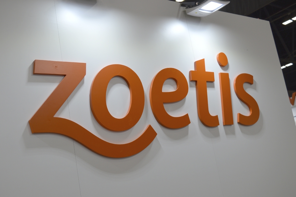 La vacuna Poulvac® E.coli de Zoetis ha demostrado su seguridad durante la etapa productiva de las gallinas.
